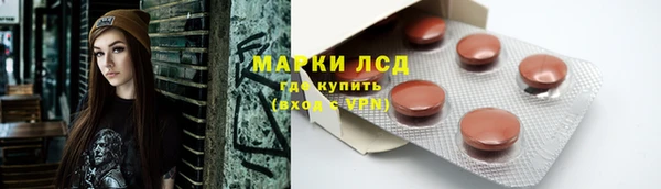 трава Аркадак