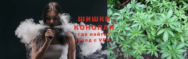 спайс Баксан
