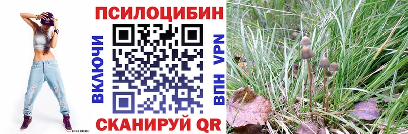 Псилоцибиновые грибы Cubensis  закладка  Урень 